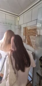 Schülerinnen in einer Ausstellung